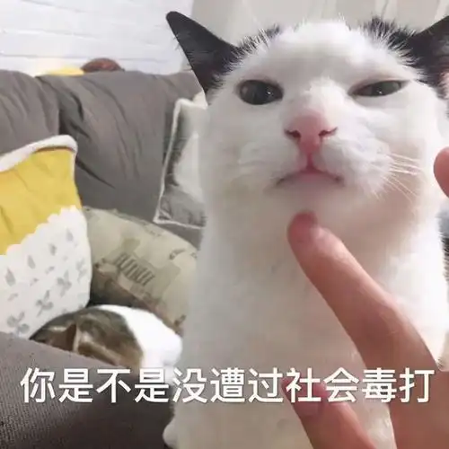  原神高考过后,除认真学习外,设立额外支线目标凝光
