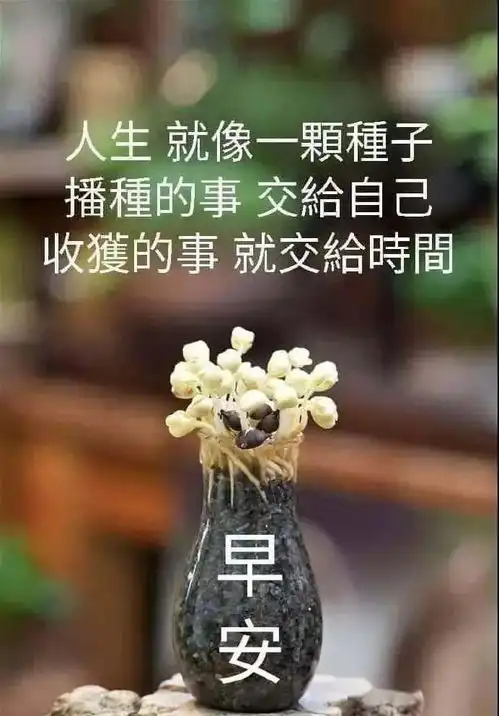  5月6日周三群发早上好问候祝福动态表情图片5月最美早晨好问候表情动态图片