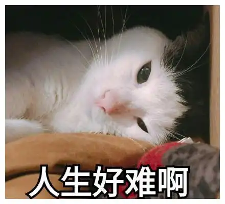 无聊图片 搞笑图片搞笑