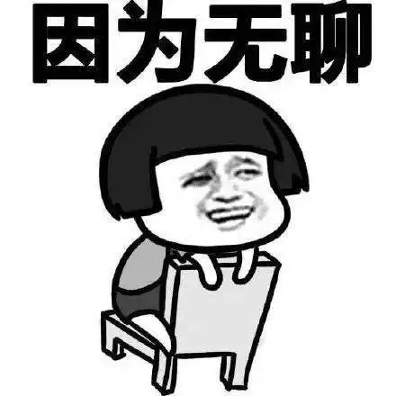  暑假必追综艺这些宝藏综艺我能一口气看完
