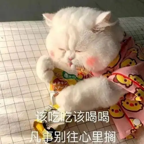 表情包别走我下一把好好打拿图点赞吱声