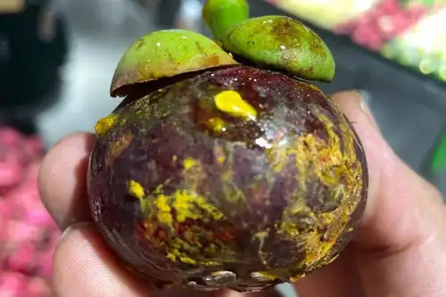  最让中国人期待夏天的食物,它排第一