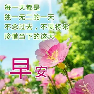  2023最新早晨好早上好漂亮问候祝福图片头像