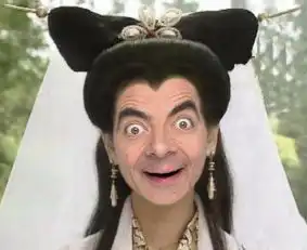 凤姐的图片大全表情包ps