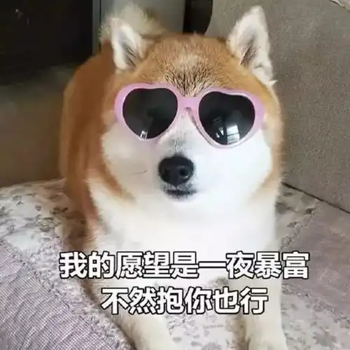 网络图片头像搞笑图片开