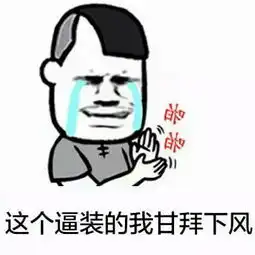  那个知道可以修改图片的文字之类的修改器啊,是那种搞笑图片