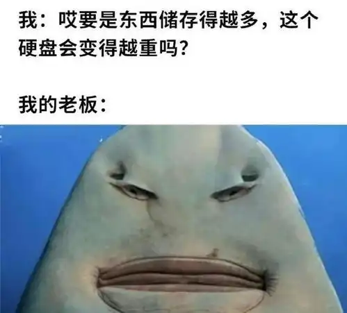 真实图片搞笑真正