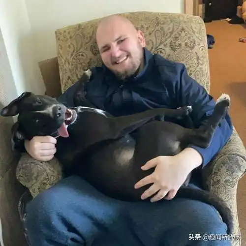  50张狗狗的搞笑图片,背后的故事承包了我一天的笑点