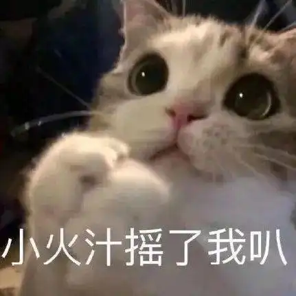 我很丑吗为啥不能有8个对象丨第174期喵表情