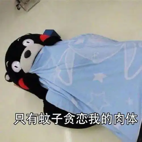 夏天统一的快乐来源  夏天统一的快乐来源