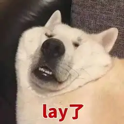  斗图丨lay了附资源