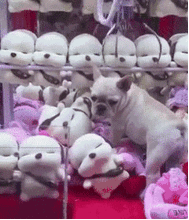  ,带您每日一笑