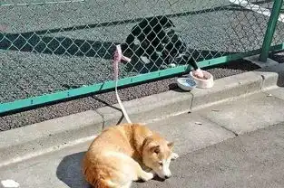  超级搞笑照片笑的受不了了