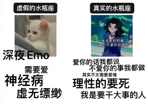  虚假水瓶座vs真实水瓶座搞笑视频趣图真实水瓶座