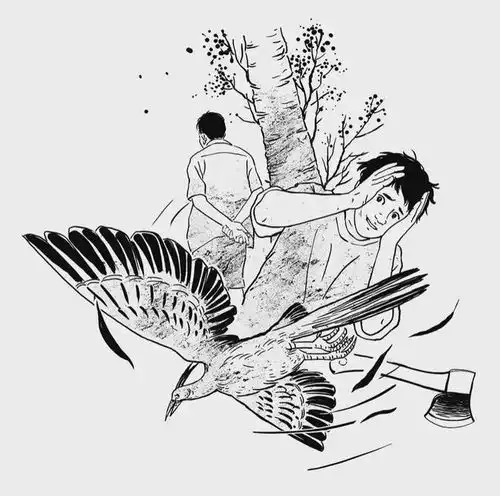  故事典藏不识抬举的鸟
