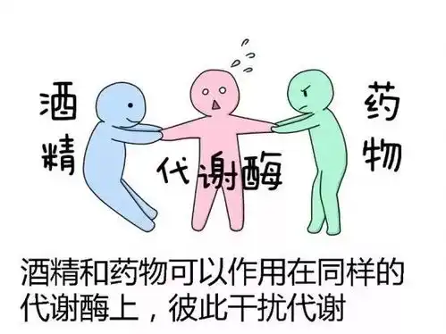  一日科普果酒配饮料,真的能混搭吗