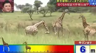  如果宠物突然开口跟小孩子讲话,你觉得小孩子会相信吗