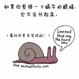  生活姿势这么多有趣的冷知识,竟然都不知道,感觉白活了