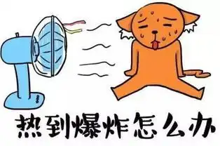  汉中这个地方,看看就能降温,来了就能避暑