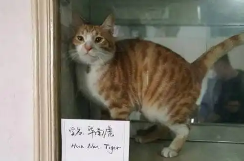  搞笑图片笑话段子不好笑你找我尽管用吧,我的钱就是你的钱