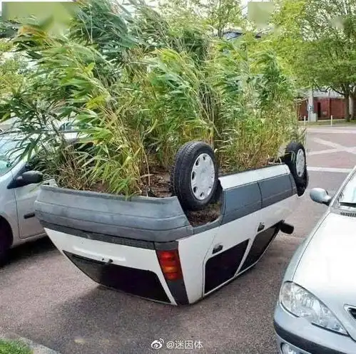  不管怎样,成功了...哈哈哈