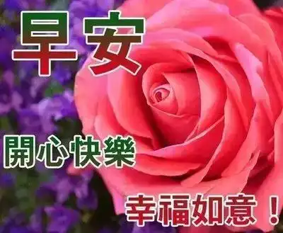  6月5日芒种早安问候每日一祝