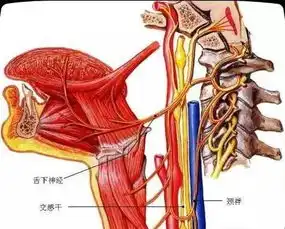  缺少蛋白质,原来不仅仅是眼睛有表现,还有它们搜狐美食搜狐网