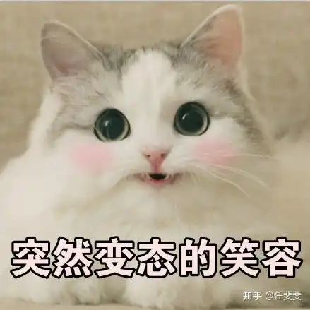 我是猛1表情包企鹅