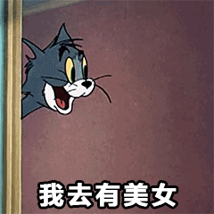  gif猫和老鼠