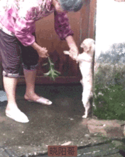  搞笑gif醉酒后的女生是这样的美女
