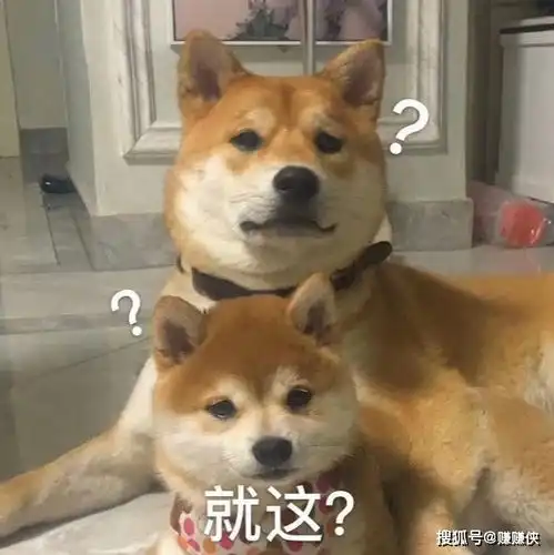  搞笑表情包图片今天早点睡,就这