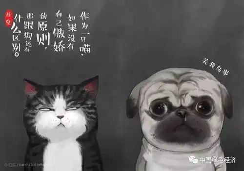 贱人都是被你的好给惯坏的 贱人都是被你的好给惯坏的