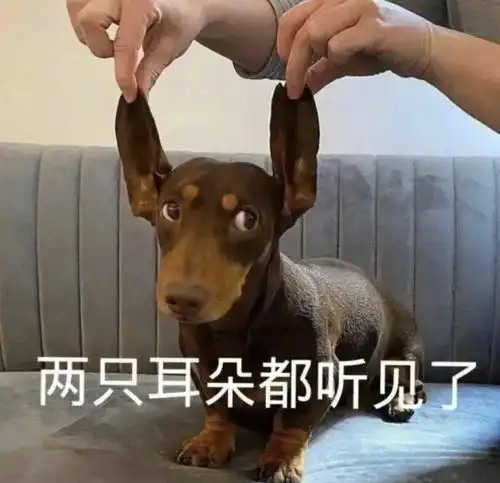  车票都没抢到的我已经想好开学娱乐活动了