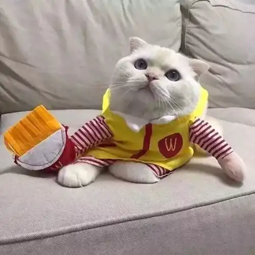 背景图丨我想与你同甘共苦可是你选择远方不与我赌  背景图丨我想与你同甘共苦可是你选择远方不与我赌