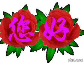  2021真人你好表情包,你好表情动态图片,美女你好打招呼问候