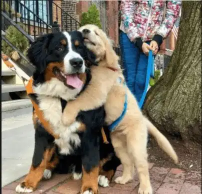 幽你一默哥们上课迟到,到班门口,哥们大喊一声报...红包小时候蚂蚁和大象  幽你一默哥们上课迟到,到班门口,哥们大喊一声报...红包小时候蚂蚁和大象