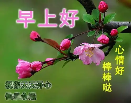 早上好问候图片精选