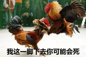  图说年假将尽,鸡年大吉了吗
