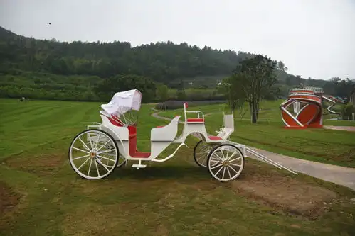 雁荡山下又一网红打卡点铁定溜溜,溜无限很有趣  雁荡山下又一网红打卡点铁定溜溜,溜无限很有趣