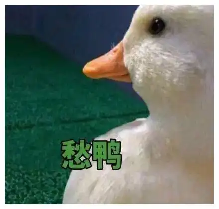  座霸又在起舞大人买一等座,给孩子买二等座,结果一起坐一等座