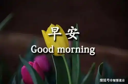  2021最漂亮的早上好鲜花表情动画图片,早晨好问候语大全