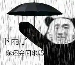  网络知名度低但现实口碑极好的星座