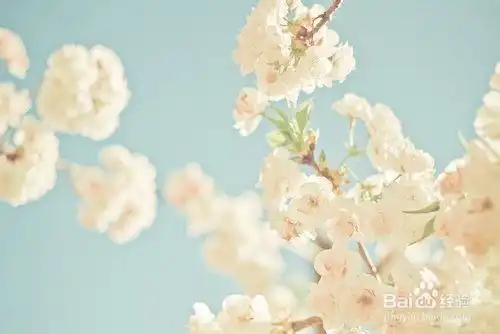 小儿急性肠炎该如何用药  小儿急性肠炎该如何用药