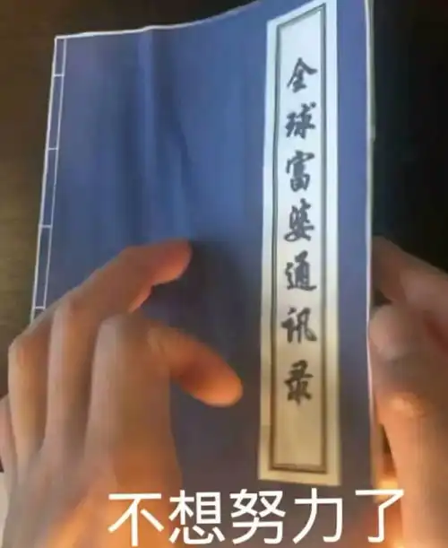  不想努力了,全球富婆通讯录通讯录富婆努力不想全球表情