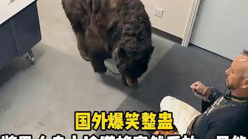 国外爆笑整蛊,将男人身上涂满蜂蜜,然后放进一只饿了三天的熊  国外爆笑整蛊,将男人身上涂满蜂蜜,然后放进一只饿了三天的熊