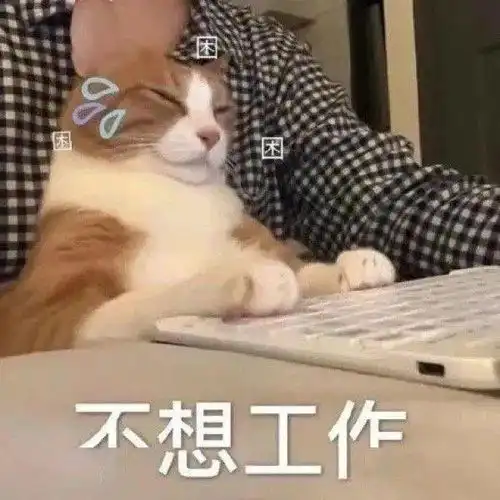  表情包