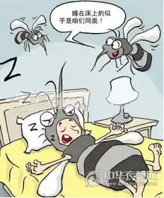  科学装修从源头杜绝登革热