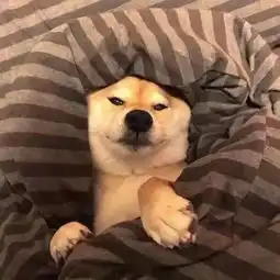  afun熬夜一时爽,一直熬夜一直爽