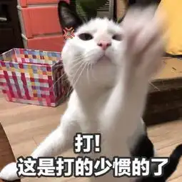  搞笑段子我现在不能娶你,我们结拜成兄妹吧