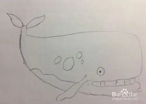  简笔画之喷水的鲸鱼